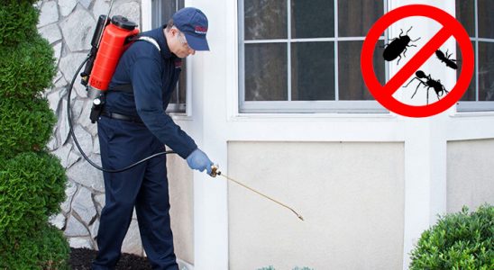 Boğazkale Kene İlaçlama böcek ilaçlama ve haşere kontrolü — ilaclama-tr.com